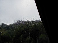 tp7310121.jpg (32071 bytes)