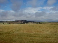 tp8010134.jpg (31988 bytes)