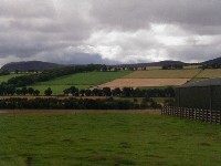 tp8100292.jpg (39228 bytes)