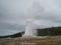 mid018.jpg (312232 bytes)